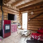 Prázdninový dům Authentique En Foret, 6 Pers, Proche Gerardmer, Sentiers & Stations De - Fr-1-589-378 Anould