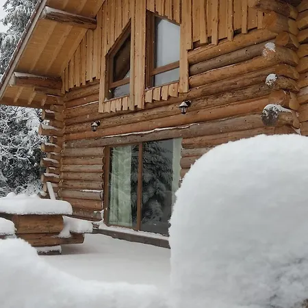 Authentique En Foret, 6 Pers, Proche Gerardmer, Sentiers & Stations De - Fr-1-589-378 * Anould