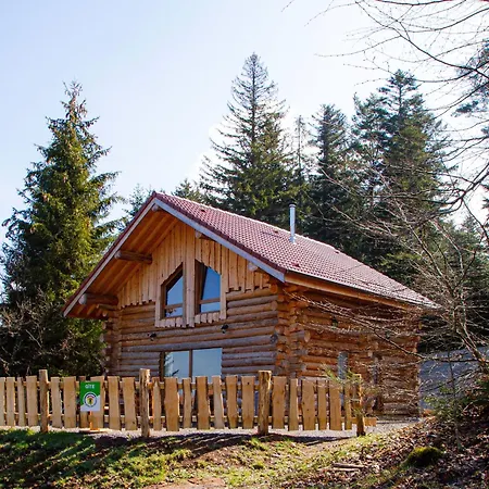 Authentique En Foret, 6 Pers, Proche Gerardmer, Sentiers & Stations De - Fr-1-589-378