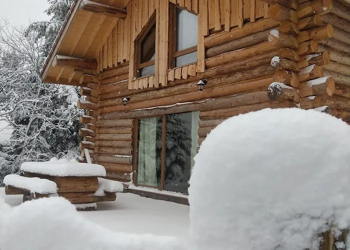 Authentique En Foret, 6 Pers, Proche Gerardmer, Sentiers & Stations De - Fr-1-589-378 * Anould