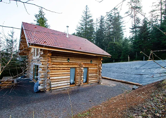 Authentique En Foret, 6 Pers, Proche Gerardmer, Sentiers & Stations De - Fr-1-589-378 Prázdninový dům Anould